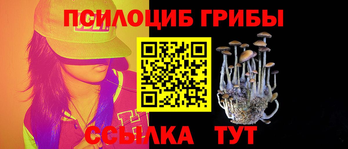 Мелеуз  Галлюциногенные грибы Psilocybine cubensis  Вход с VPN 